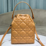 Christian Dior Small Dior Caro Bucket Bag M3372